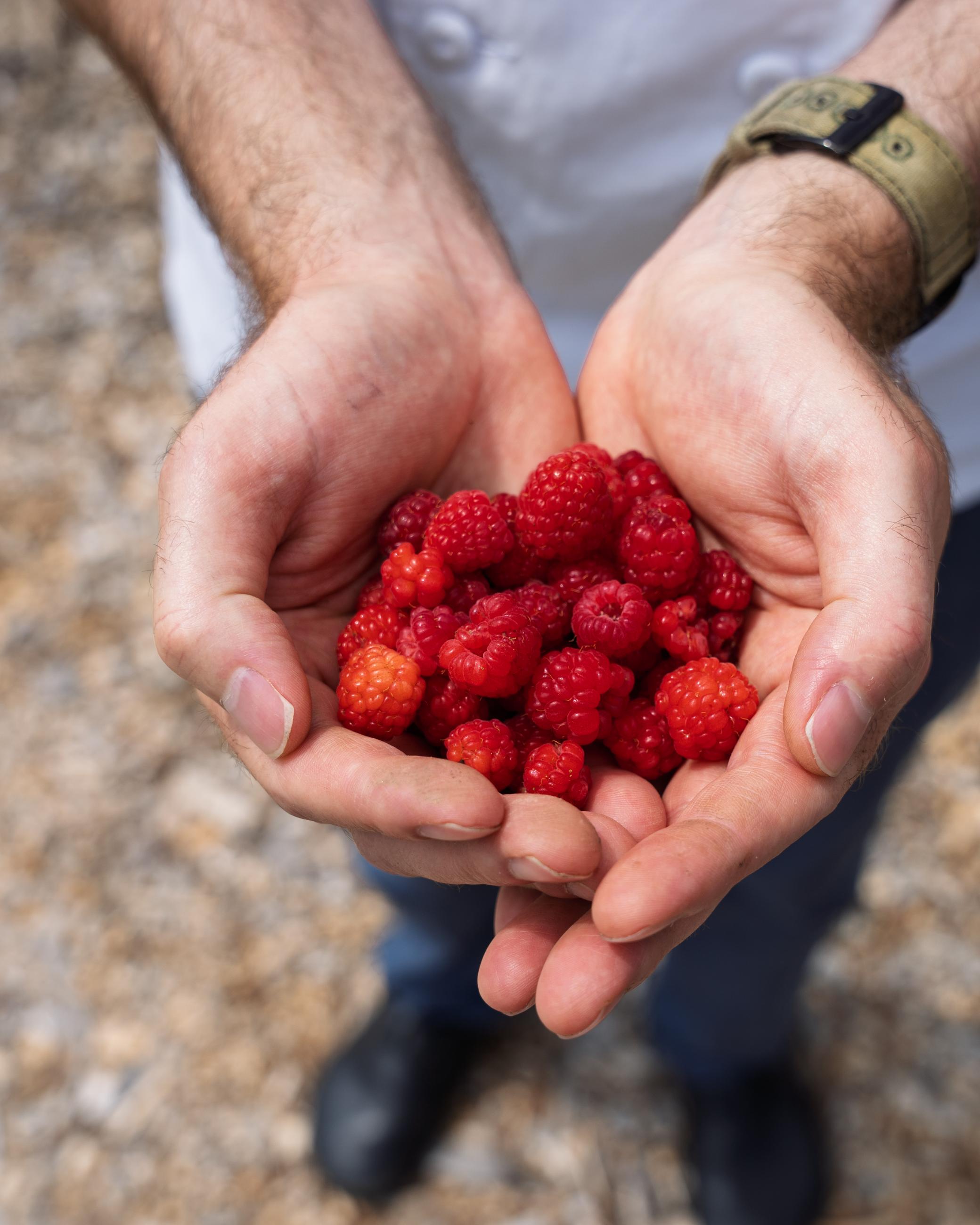 Kelly Way Gardens Raspberry Thumbprint Cookies | Woodstock Eats