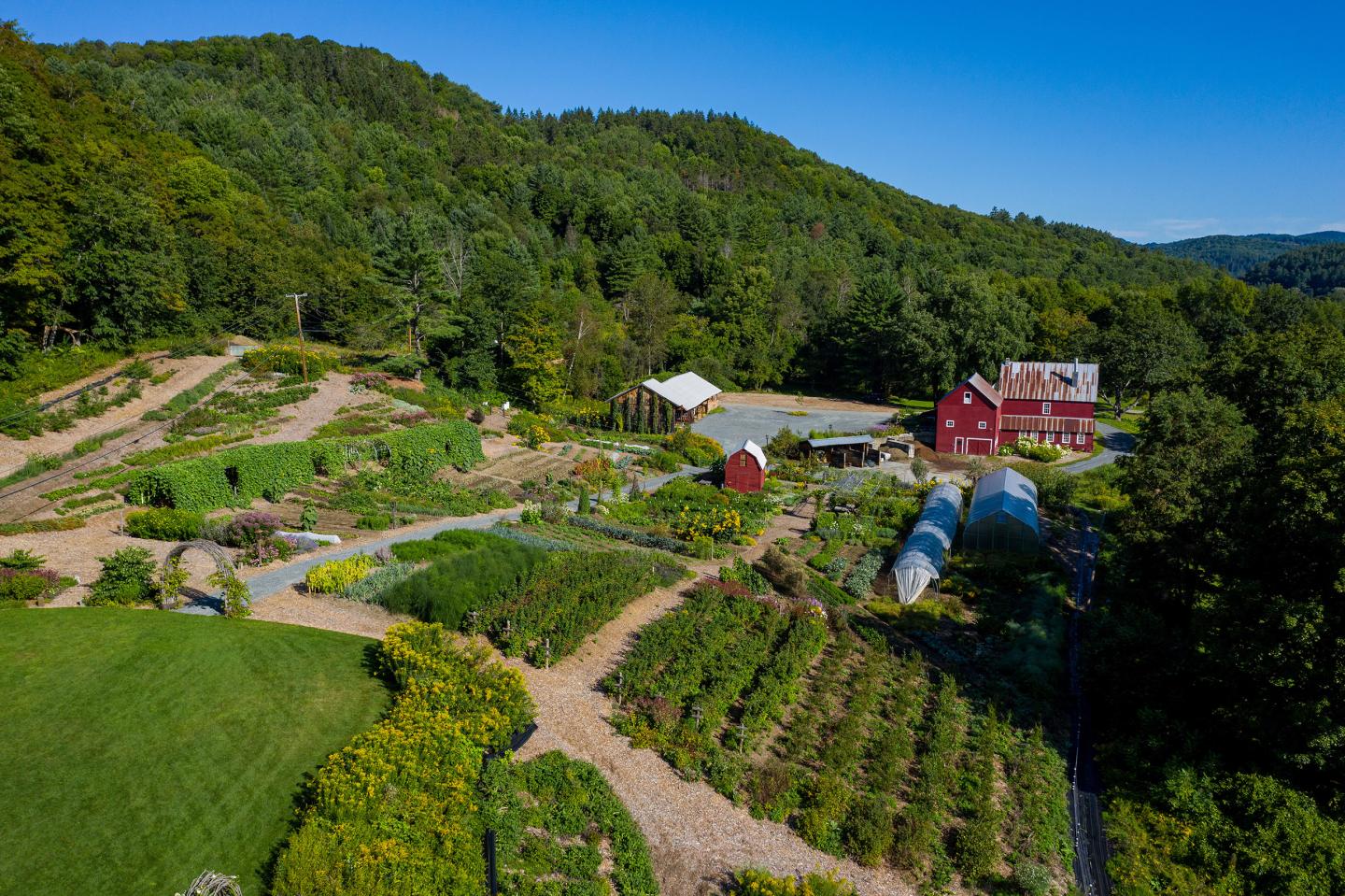 Farm landscape with red barn, greenhouses, and lush greenery under a clear blue sky.