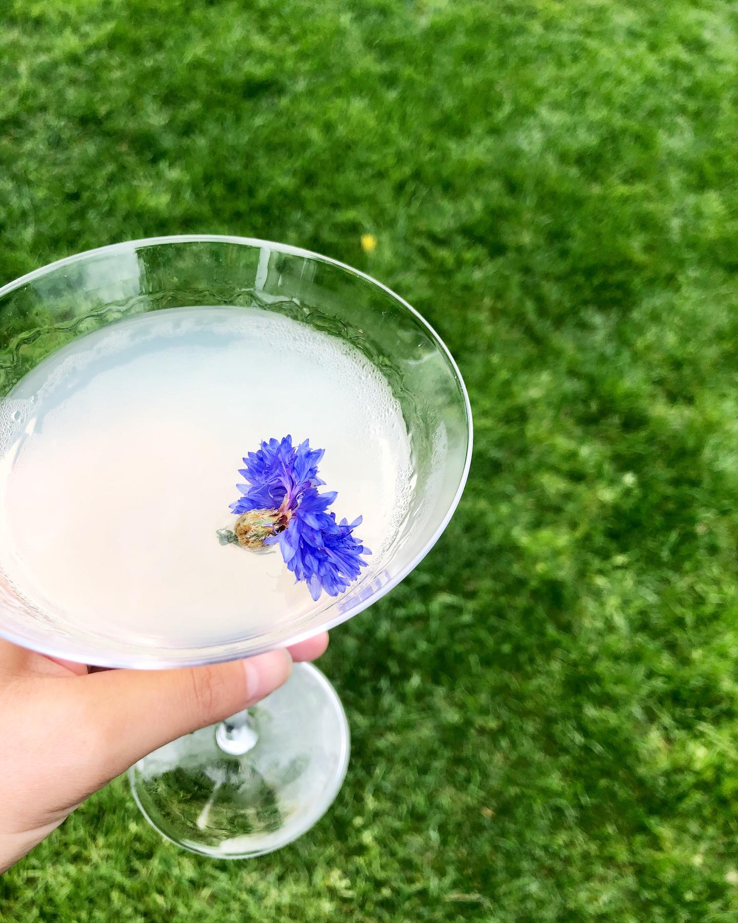 Cocktail with blue flower garnish, held over green grass.