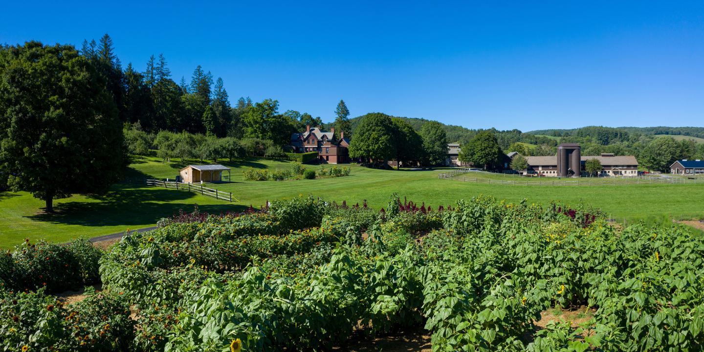 Billings Farm gardens with blue sky.