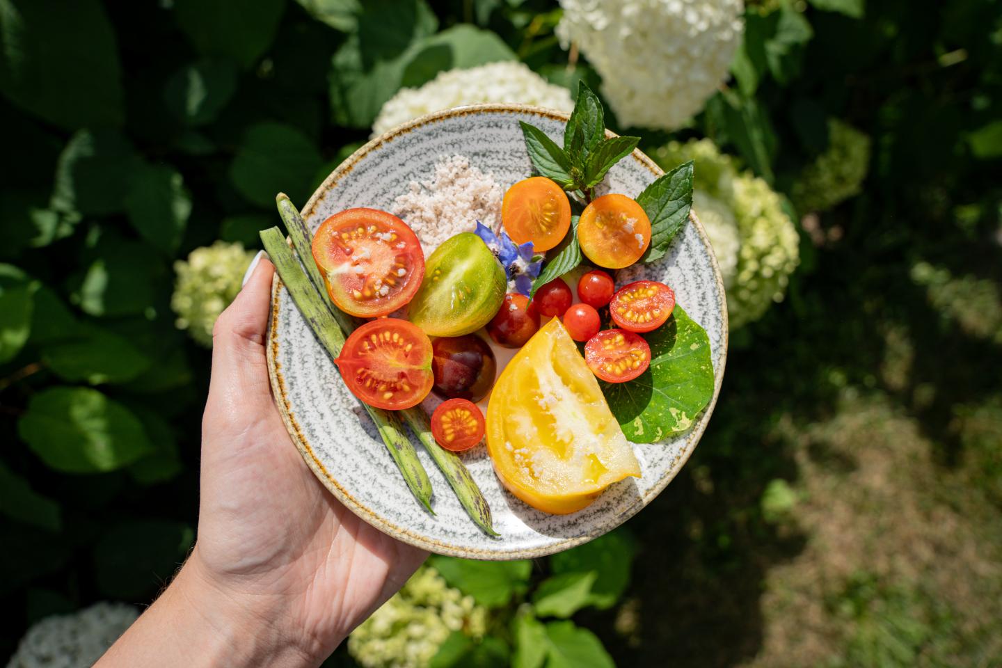 Hand holding a plate of colorful tomatoes and vegetables in a garden setting.