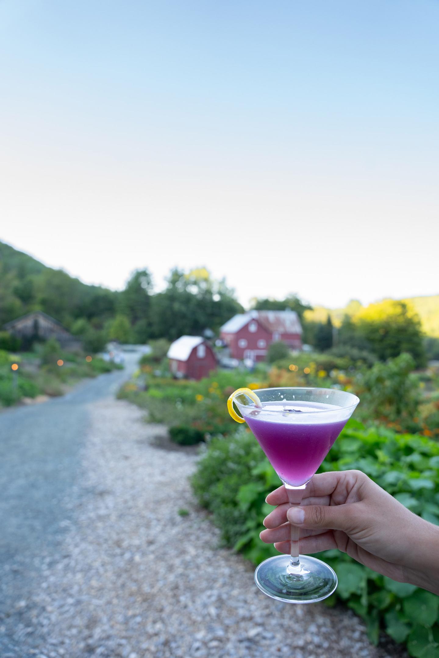 Purple cocktail with a lemon slice held in a garden with barns in the background.
