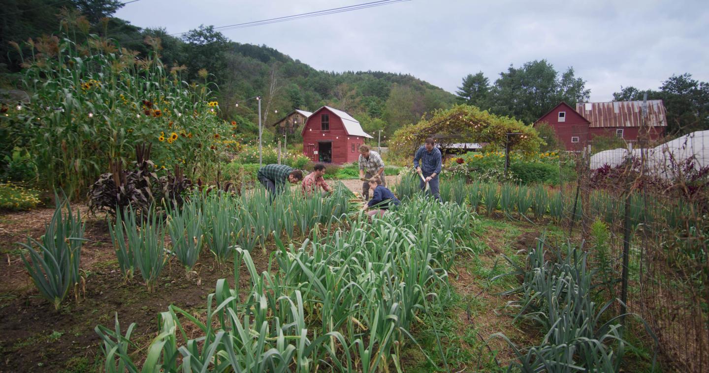 People gardening in a lush, green farm with rustic red barns.