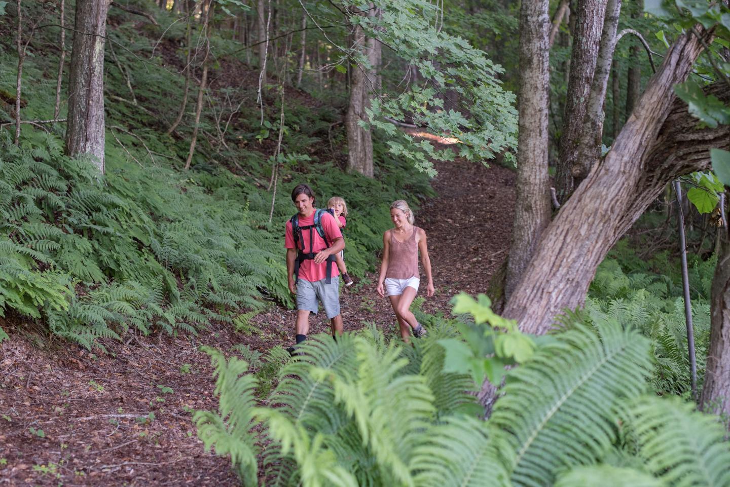 Family hiking on a lush wooded trail, surrounded by green ferns and trees.