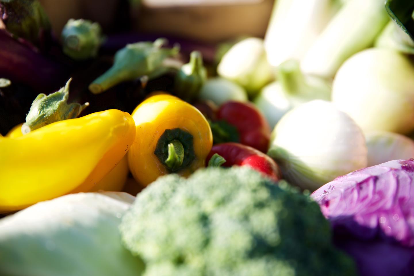 Fresh vegetables including peppers, broccoli, and eggplants in sunlight.