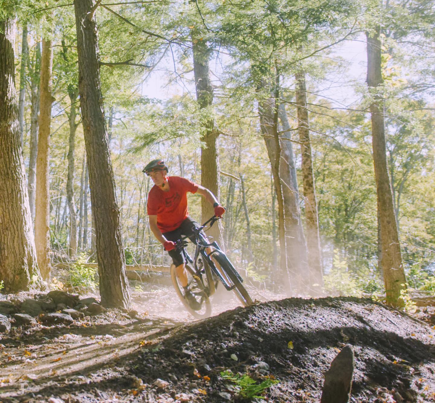 Mountain Biker rides through a sunlit forest trail.