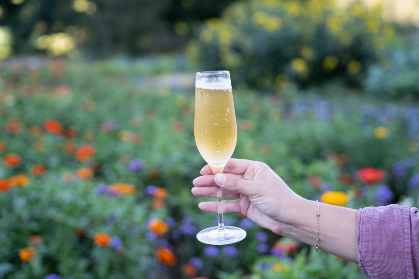 Hand holding a champagne flute in a colorful garden.